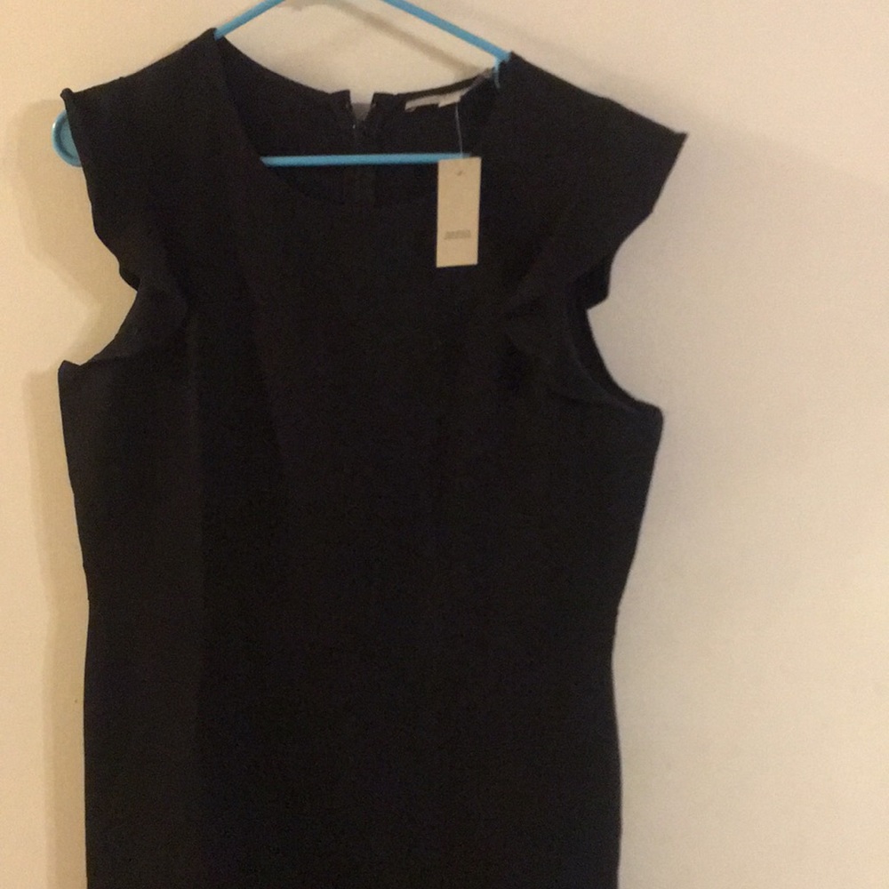 LOFT dress. Sz 12 Petite, NWT